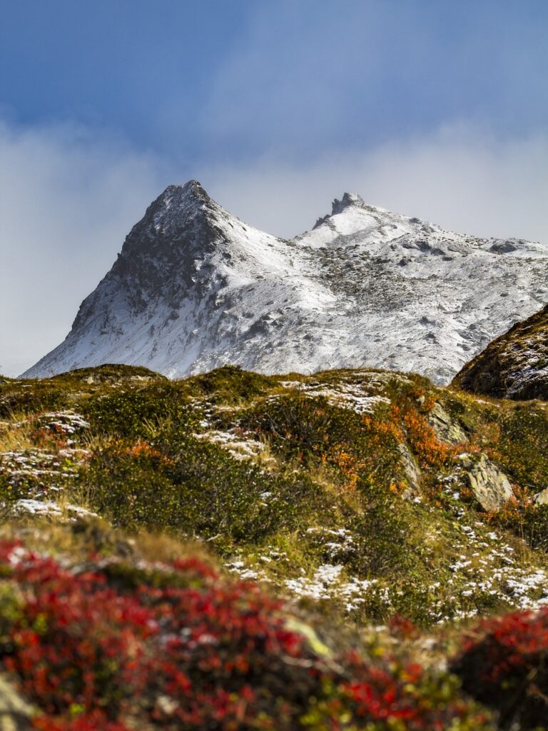 alpine, mountains, nature-4551324.jpg